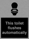 this-toilet-flushes-automatically~